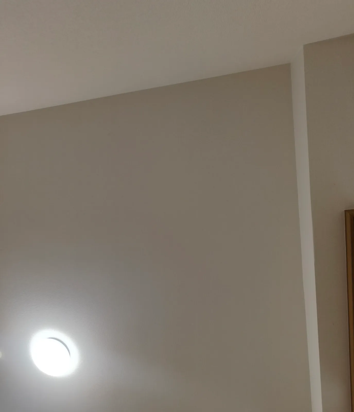 投稿画像 1